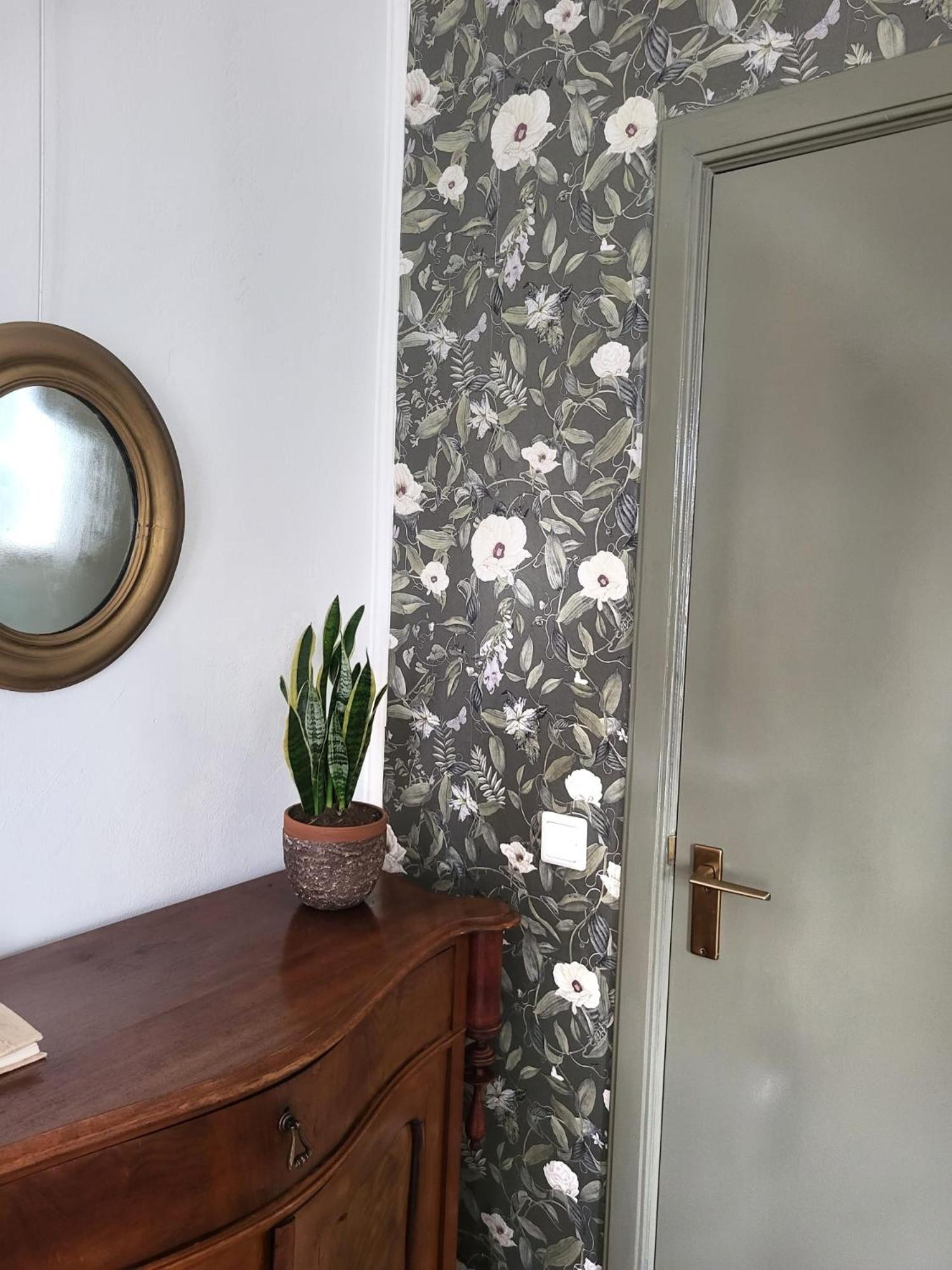 Logement Hartsuiker Hoogeveen Exteriör bild